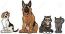 Vector Cartoon Illustration Clip Art Of A Group Of 2 Dogs And 2 Cats, A Beagle, German Shepherd, Tabby, And A Grey Cat. Each Pet Is On A Separate Layer. Royalty Free