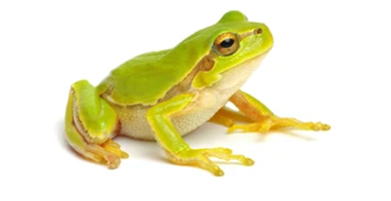 0300tjhv-a24d-555x286.png