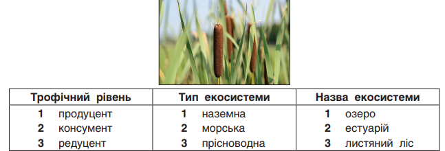 0300tjuv-0410-647x220.png