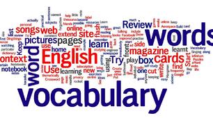 Grammar Revision: Indefinite and Negative Pronouns