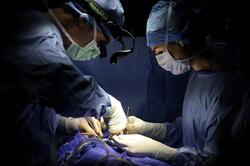 Confidential data on surgeons now released, searchable | CNN
