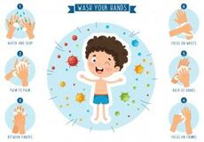 Fun Facts and Activities About Germs for Kids | LoveToKnow