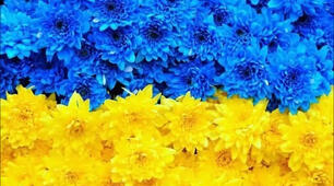 Презентація "І. Нечуй- Левицький. "Кайдашева сім'я".  Засоби творення комічного"