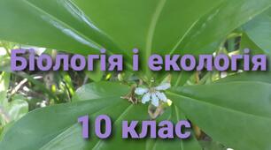 16.05. 10-А.  Репродукція людини