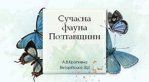 Презентація "Сучасна фаунаПолтавщини"