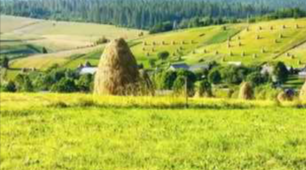 Іменник (тестові завдання) 