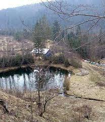 Урочище Лужки, Виженка — фото, опис, адреса