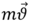0300tynm-cfe8-43x30.png