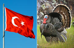 Erdogan wants Turkey off the menu | Arab News