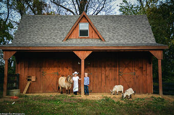 Design Multi-Animal Barn - Multi-Use Barn | Horizon Structures