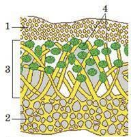 0300u4xd-8078-192x201.jpg