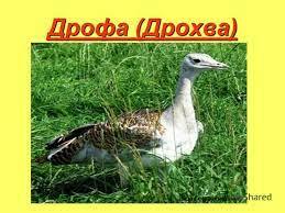 0300u5b3-e3df-259x194.jpg