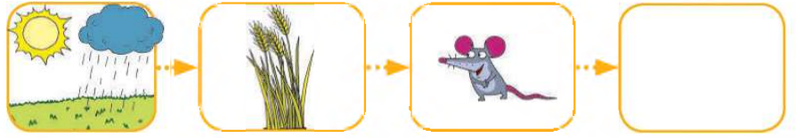 0300u5v7-a5e7-894x156.png