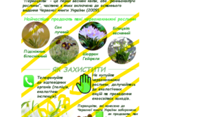 Ілюстрація: "Збережемо первоцвіти України!"