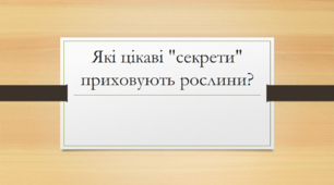 Презентація "Які цікаві "секрети" приховують рослини?"