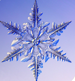 0300u907-1129-149x159.png
