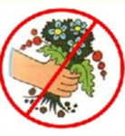0300u9ei-895a-138x150.png
