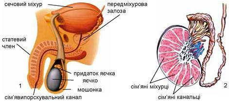 0300ua2y-b8eb-471x211.jpg