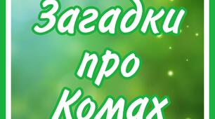 Загадки про комах (для дітей)