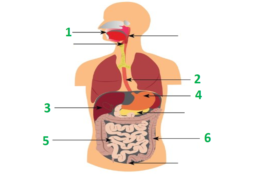 0300ud28-e982-937x588.png