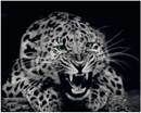 0300udey-83a4-130x104.jpg