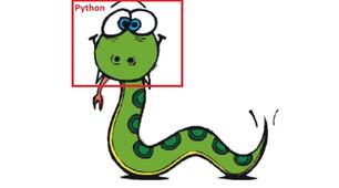 9 Клас Підсумковий тест.Алгоритми та програми (Python)