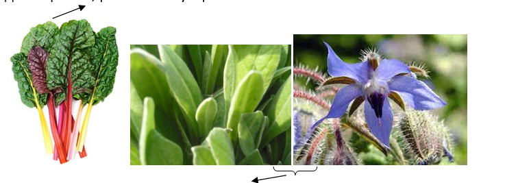 0300ujok-f777-737x267.png