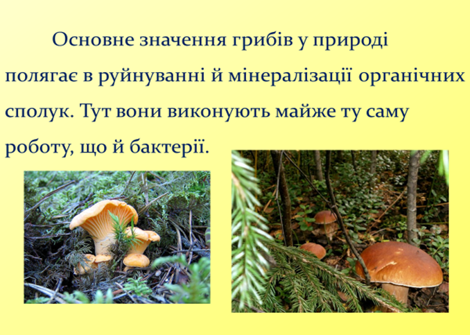 0300umbw-23ba-678x483.png