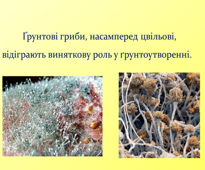 0300umci-c870-666x552.png
