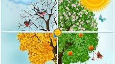 Season and weather
