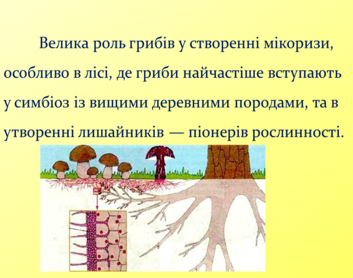 0300umdi-710b-691x545.png