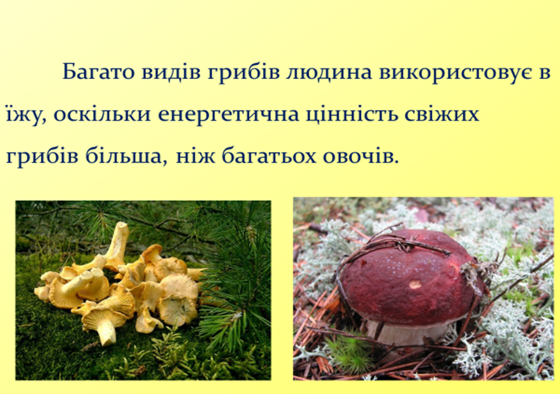 0300umfe-457b-794x559.png