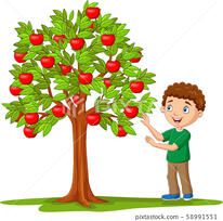 Cartoon boy picking apples from apple tree - Stock Illustration [58991551] - PIXTA