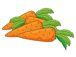 Carrots stock illustration. Illustration of nutritious - 9689562