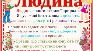 Людина та її організм