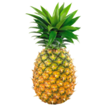 0300uogw-9753-152x152.png