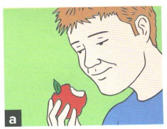 0300uqke-e169-235x182.png