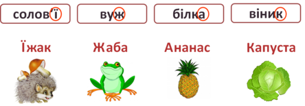 0300usbx-c5b3-444x155.png