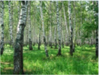 0300uu5u-999c-390x297.png