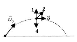 0300ux51-5ef4-245x135.png