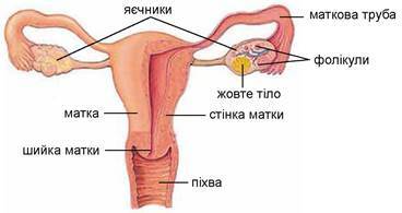0300v0qt-c8e9-368x195.jpg