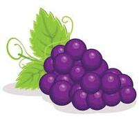 Grape cartoon Stock Vectors, Royalty Free Grape cartoon Illustrations | Depositphotos