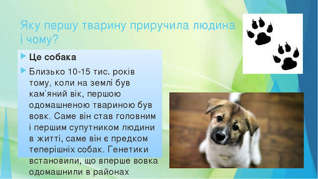 0300v4p1-5da5-640x360.jpg