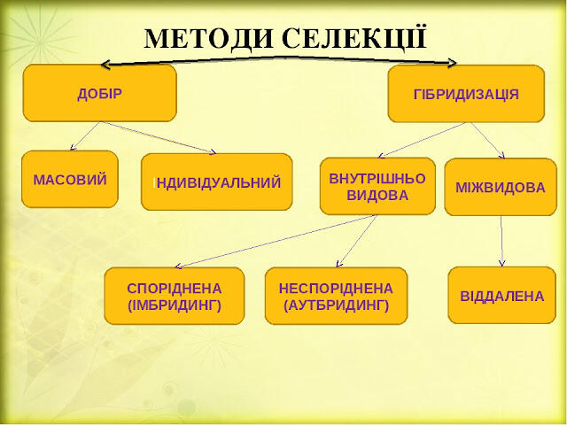 0300v4yh-b932-640x480.jpg