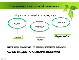 0300v4yk-40a4-312x236.png