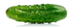 0300v5st-1030-246x92.png