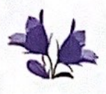 0300v7m7-b2c3-152x134.png