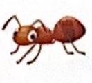 0300v7pl-3f89-133x120.png