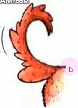 0300v8fg-ec29-264x365.png