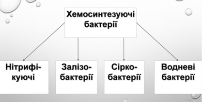0300v8qu-c9c0-578x291.png